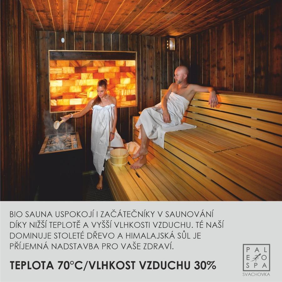 Wellness Hotel Svachovka Mírkovice Εξωτερικό φωτογραφία